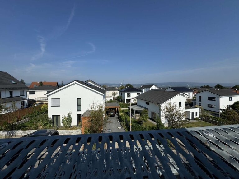 Ausblick