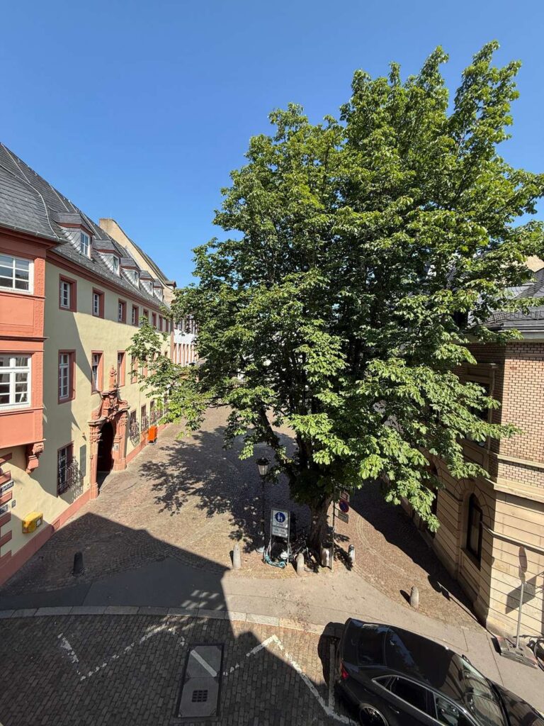 Ausblick