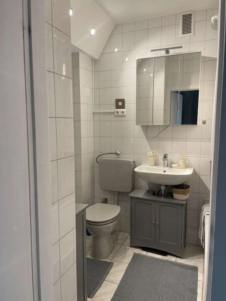 Wohnung (modernisiert)