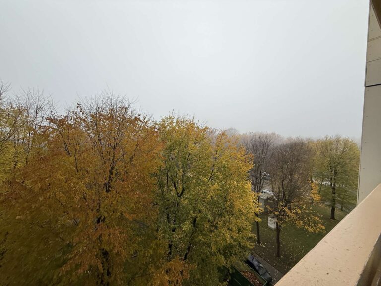 Ausblick